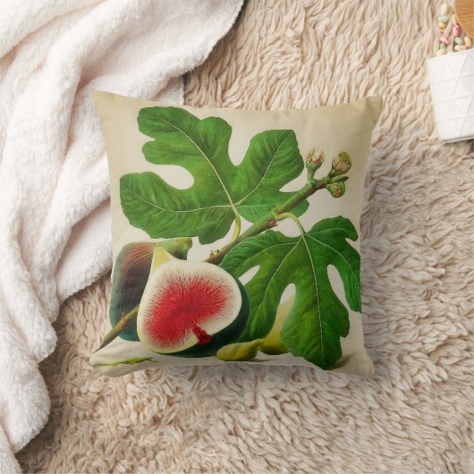 ヴィンテージ クッション (ブランケット)