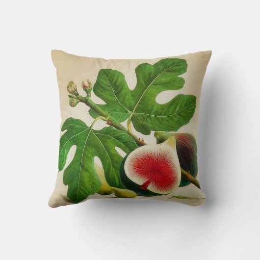 ヴィンテージ クッション (裏面)