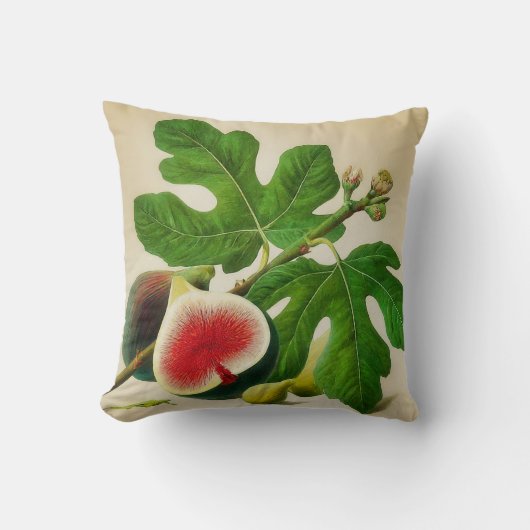 ヴィンテージ クッション (正面)