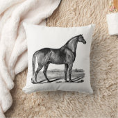 ヴィンテージ クッション (ブランケット)