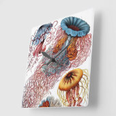 ヴィンテージ·クラゲ著Ernst Haeckel、Discomedusae スクエア壁時計 (傾斜)