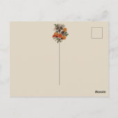 ヴィンテージ クリスマス植物画 ポストカード (裏面)