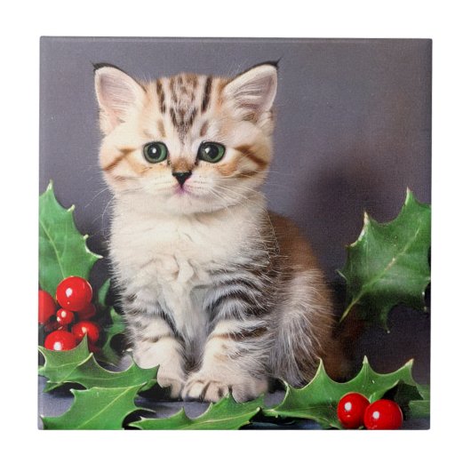 ヴィンテージ クリスマス 子猫とヒイラギ タイル (正面)