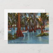 ヴィンテージ、クルーズ キプロス ガーデンズ、フロリダ ポストカード (正面/裏面)