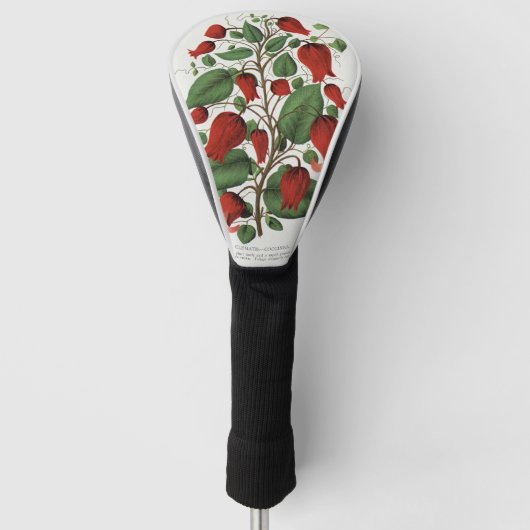 ヴィンテージ クレマチス・コチネア 赤い花の芸術 ゴルフヘッドカバー (正面)