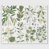 ヴィンテージ・グリーン・プラント ラッピングペーパー (フラット)