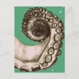 ヴィンテージ グリーン 海洋 オクトパス テンタクル ポストカード