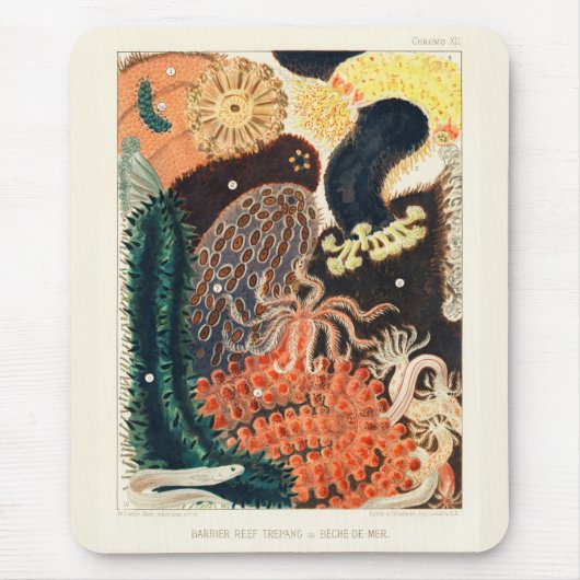 ヴィンテージ グレートバリアリーフ トレパンまたはベシェ・ド・メール マウスパッド (正面)