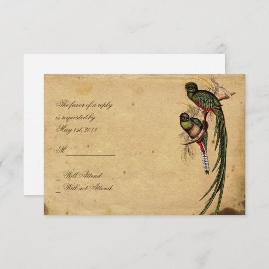 ヴィンテージ・ケツァルエレガント鳥の応答カード 出欠カード (正面/裏面)