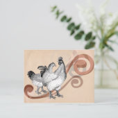 ヴィンテージ コーチン鶏 ポストカード (スタンド正面)