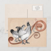 ヴィンテージ コーチン鶏 ポストカード (正面/裏面)