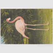 ヴィンテージ コーラル フラミンゴ（Miami FLのレア・バード・ファーム） 薄葉紙 (正面)