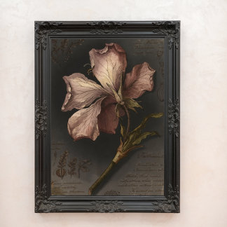 ヴィンテージ ゴシック植物画 フラワー スタディ アート フォトプリント