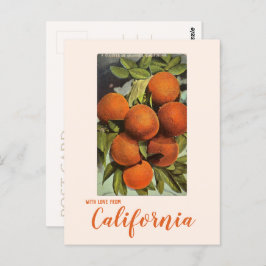 ヴィンテージ サザン カリフォルニア オレンジ ポストカード