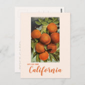 ヴィンテージ サザン カリフォルニア オレンジ ポストカード (正面/裏面)