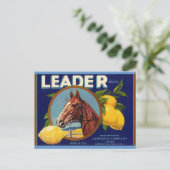 ヴィンテージ・サラブレッド・ホース・リーダー・レモン・ポストカード ポストカード (スタンド正面)