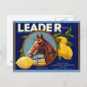 ヴィンテージ・サラブレッド・ホース・リーダー・レモン・ポストカード ポストカード (正面/裏面)