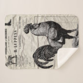 ヴィンテージ シェルパブランケット (正面(横))