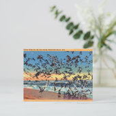 ヴィンテージ,シーガル,リホボトビーチ,デラウェア ポストカード (スタンド正面)