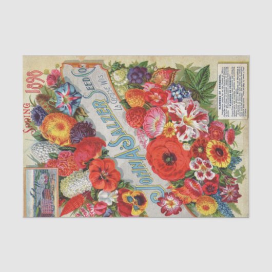 ヴィンテージ シードカタログ 1898 John A Salzer Seed Co. 薄葉紙 (正面)