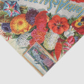 ヴィンテージ シードカタログ 1898 John A Salzer Seed Co. 薄葉紙 (詳細)