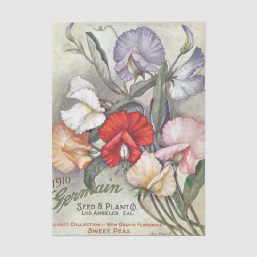 ヴィンテージ シードカタログ Germain 1910年 スイートピー 薄葉紙 (正面)