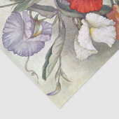 ヴィンテージ シードカタログ Germain 1910年 スイートピー 薄葉紙 (詳細)
