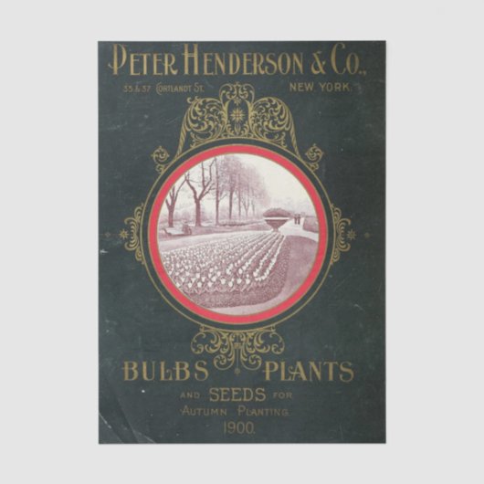 ヴィンテージ シードカタログ Peter Henderson Co., 1900 薄葉紙 (正面)