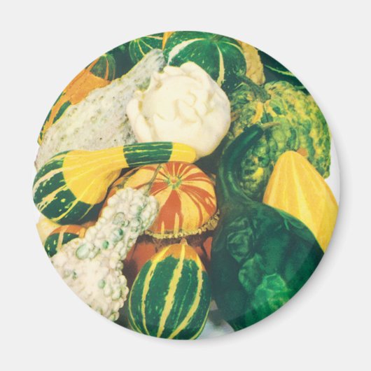 ヴィンテージ シード パケット アート, ミックス ゴウズ スカッシュ マグネット (正面)