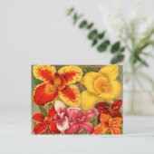 ヴィンテージ シード パケット カード、切手、ギフト ポストカード (スタンド正面)