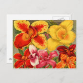 ヴィンテージ シード パケット カード、切手、ギフト ポストカード (正面/裏面)