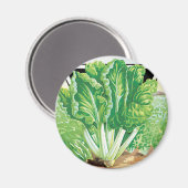 ヴィンテージ・シード・パケット・ラベル・アート、スイス・チャード・ベギーズ マグネット (正面/裏面)