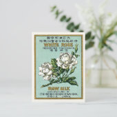 ヴィンテージ・ジャパン・シルク広告白バラ ポストカード (スタンド正面)