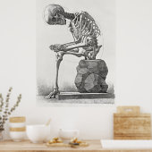 ヴィンテージ スケルトン アナトミー ポスター (キッチン)