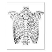 ヴィンテージ スケルトン ボーン トルソー ゴシック ハロウィン ラバースタンプ (インプリント)