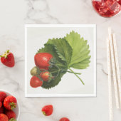 ヴィンテージ スタンダードランチョンナプキン (インサイチュ)