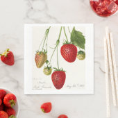 ヴィンテージ スタンダードランチョンナプキン (インサイチュ)