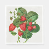 ヴィンテージ スタンダードランチョンナプキン (正面)