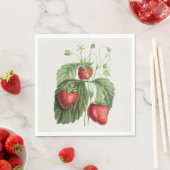 ヴィンテージ スタンダードランチョンナプキン (インサイチュ)