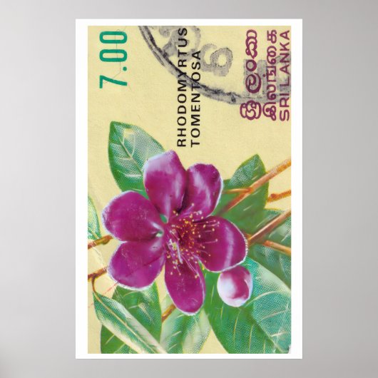 ヴィンテージ スリランカ 花柄 - 郵便切手 ポスター (正面)