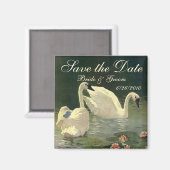 ヴィンテージ・セーブ・ザ・デート！美しいスワンが泳ぐ マグネット (正面/裏面)