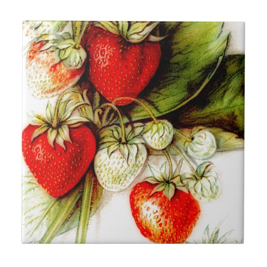 ヴィンテージ タイル (正面)