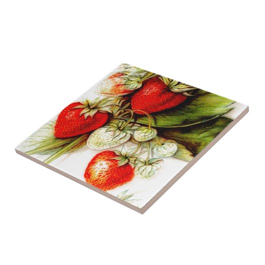 ヴィンテージ タイル (側面)