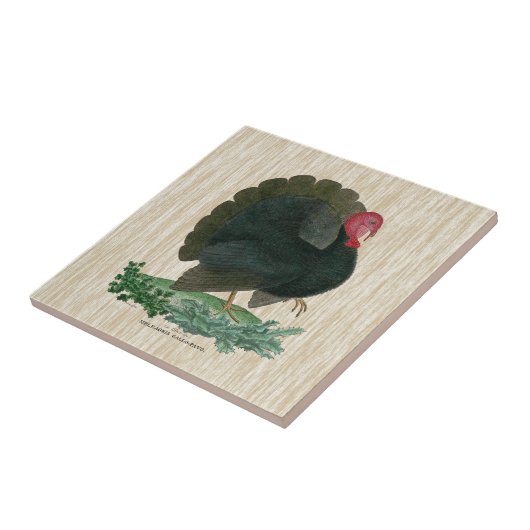 ヴィンテージ タイル (側面)