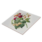 ヴィンテージ タイル (側面)