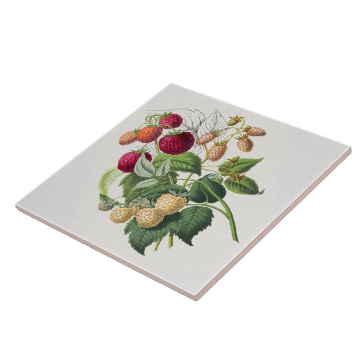 ヴィンテージ タイル (側面)