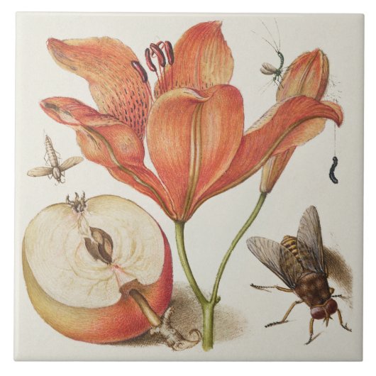 ヴィンテージ タイル (正面)