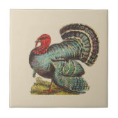 ヴィンテージ タイル (正面)