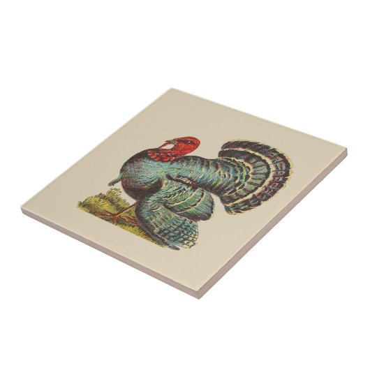 ヴィンテージ タイル (側面)