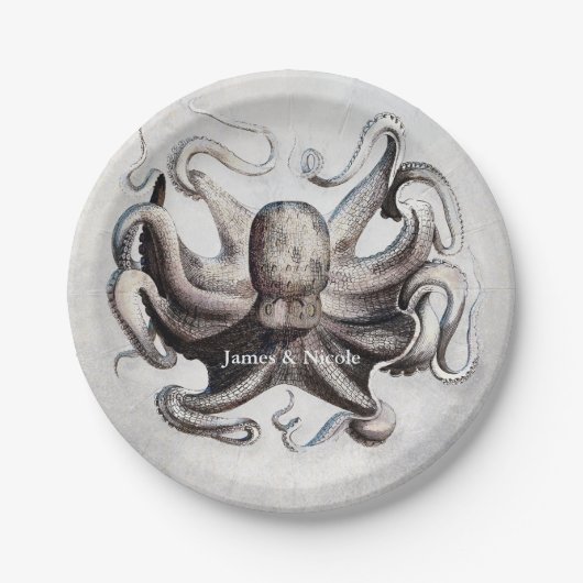 ヴィンテージ タコ ビーチ エレガント オーダーメイド パーティー プレート (正面)